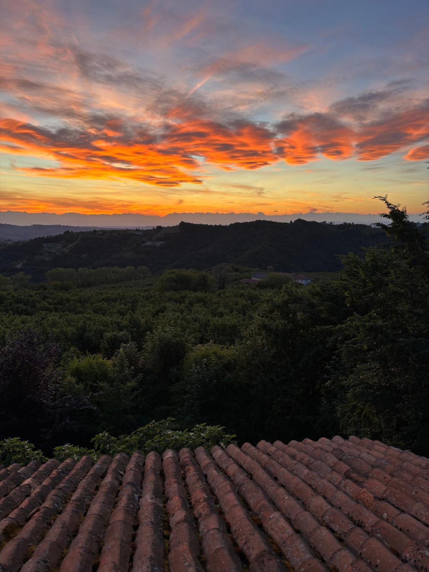 Villa Moglietta Host In Langhe 알바레토 델라 토레 외부 사진
