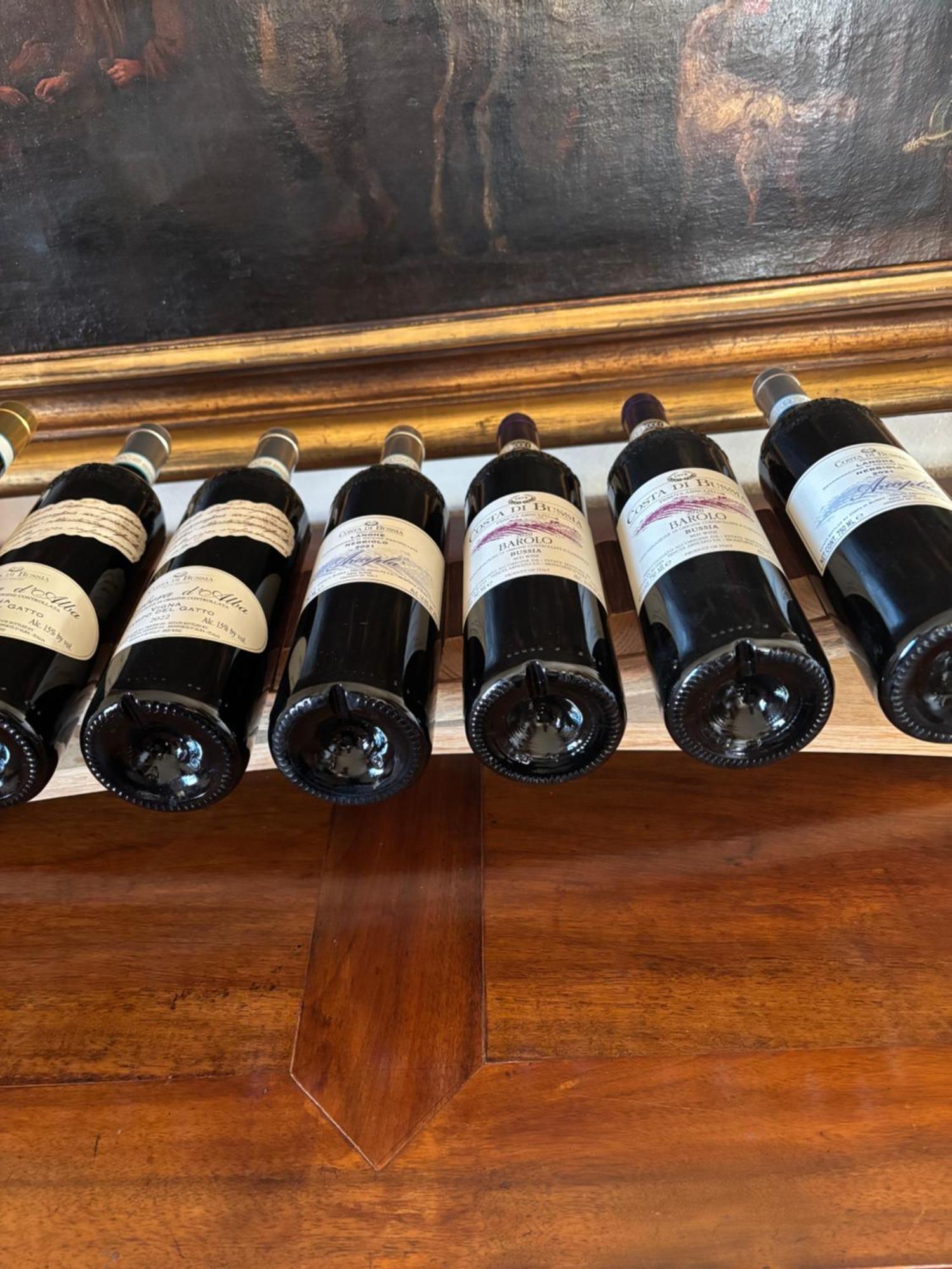 Villa Moglietta Host In Langhe 알바레토 델라 토레 외부 사진